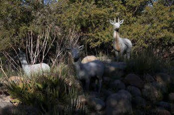 Ko-Ka Tsara Bushcamp Hotell Beaufort West Eksteriør bilde